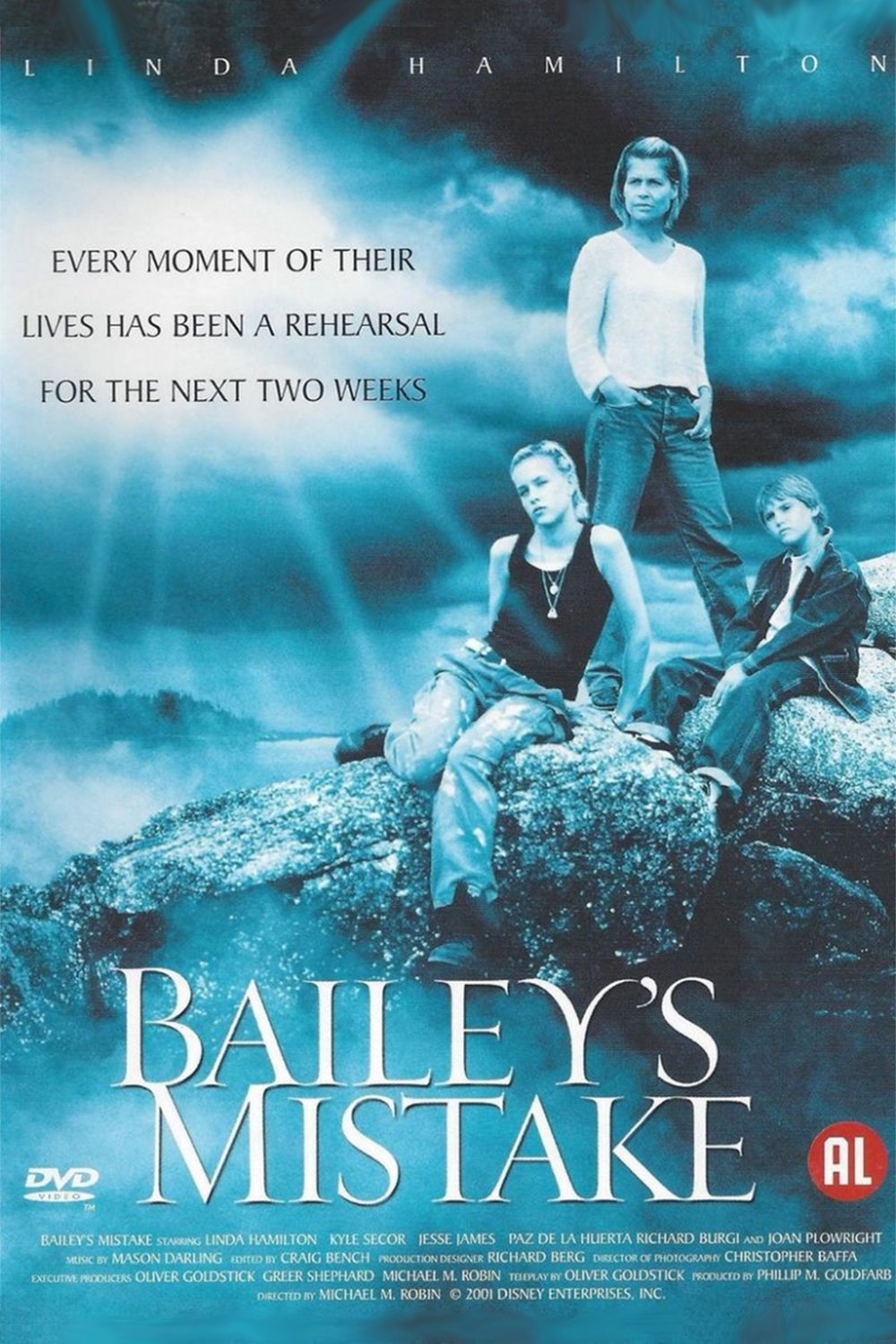 Постер Bailey's Mistake